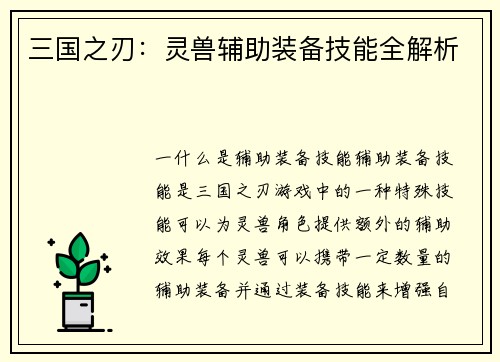 三国之刃：灵兽辅助装备技能全解析